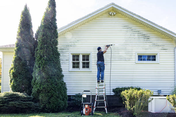 Best Gutter Cleaning and Brightening in Honaunau Napoopoo, HI